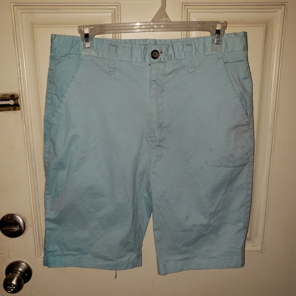 Turquoise Hudson and Barrow Dress Shorts